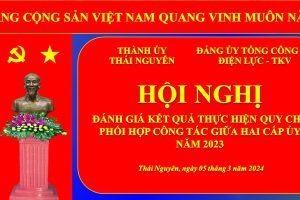 Tăng cường phối hợp công tác giữa Thành ủy Thái Nguyên và Đảng ủy Tổng công ty Điện lực – TKV