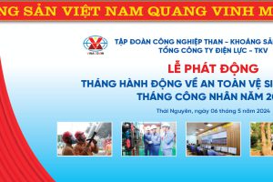 LỄ PHÁT ĐỘNG THÁNG HÀNH ĐỘNG VỀ AN TOÀN VỆ SINH LAO ĐỘNG – THÁNG CÔNG NHÂN NĂM 2024